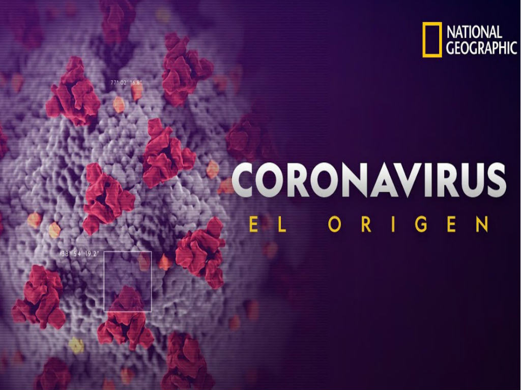 coronavirus el origen