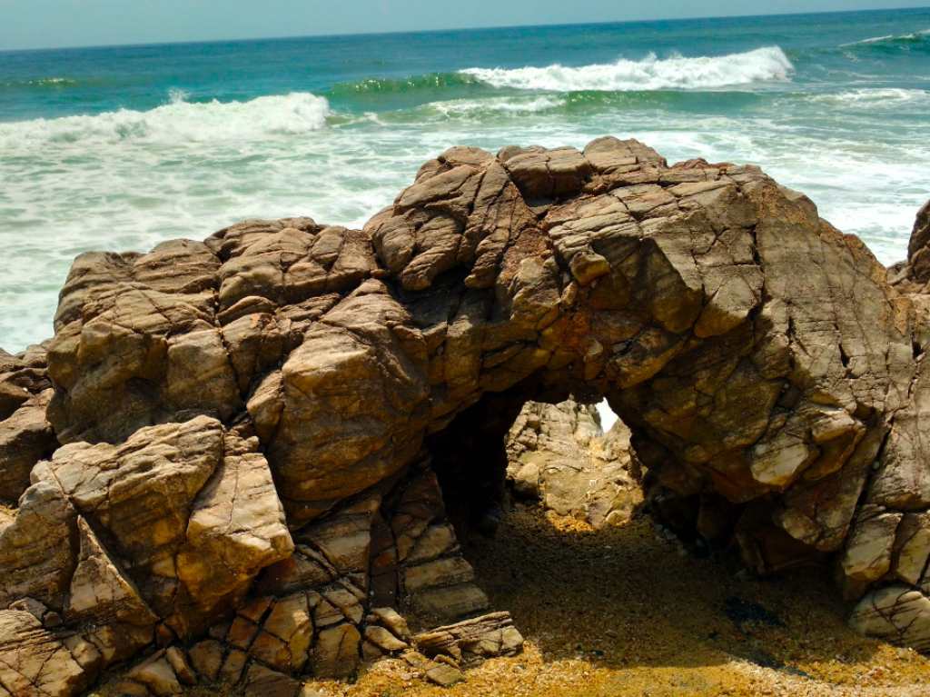 las playas de Michoacán tortugas