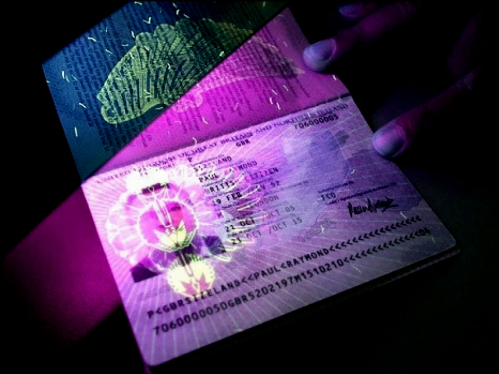 pasaporte electronico en mexico