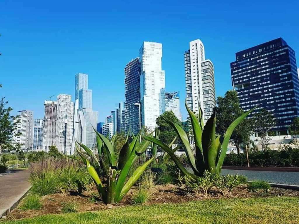 parque La Mexicana áreas verdes