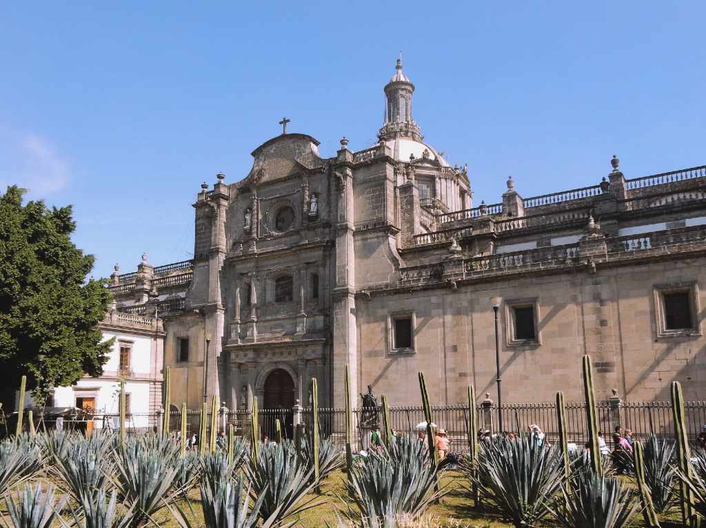 reapertura de la Catedral Metropolitana jardineras