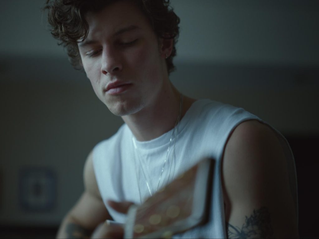Estrenos de Netflix en noviembre: The Crown 4, Shawn Mendes y más
