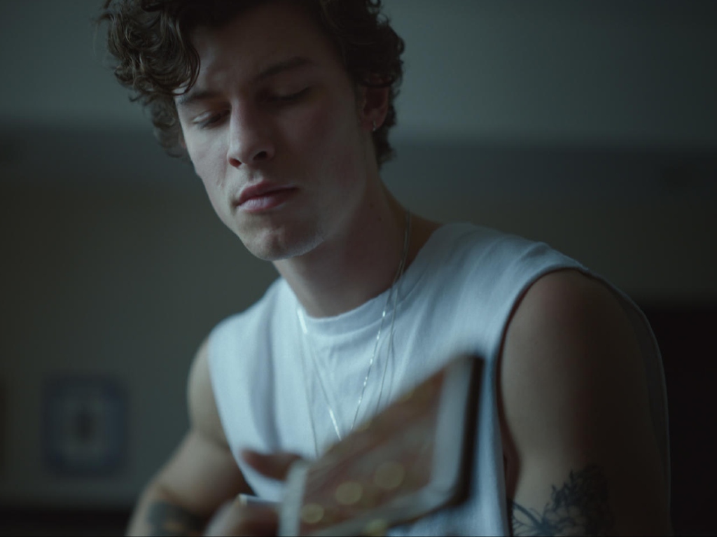 Estrenos de Netflix en noviembre: The Crown 4, Shawn Mendes y más