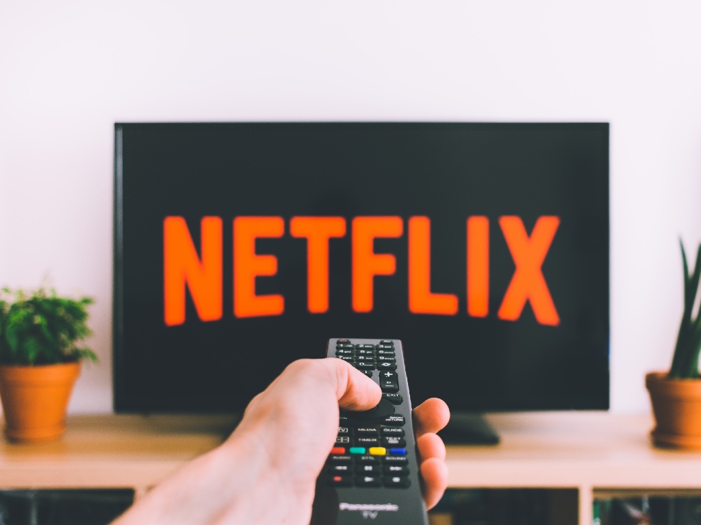 Netflix diccionario