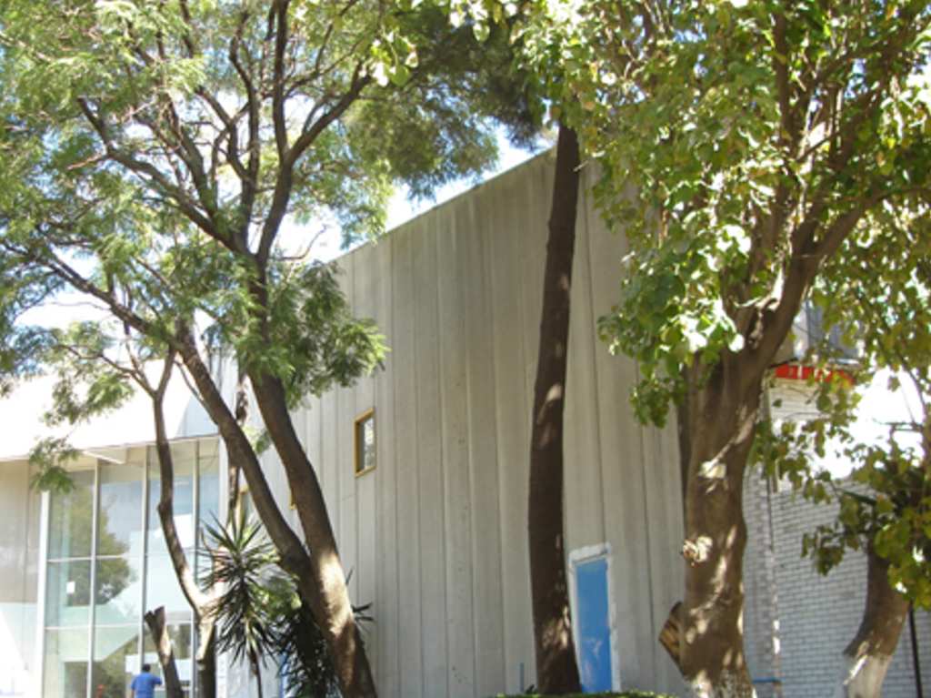 parque-ecologico-lago-de-texcoco-arboles