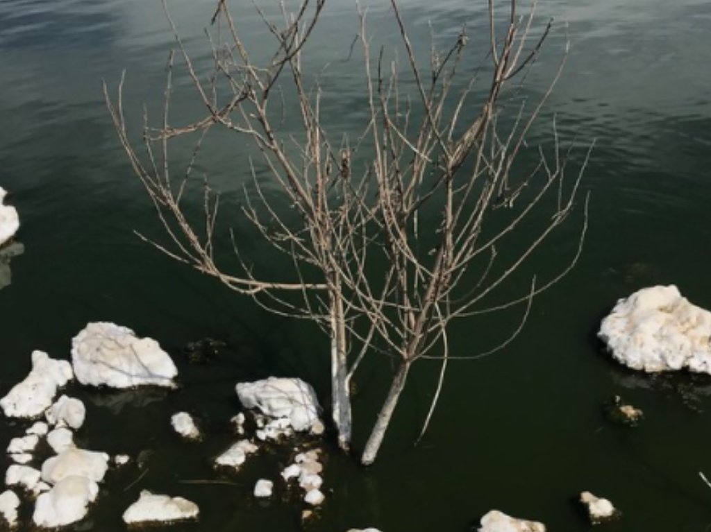 Parque Ecológico Lago de Texcoco lago