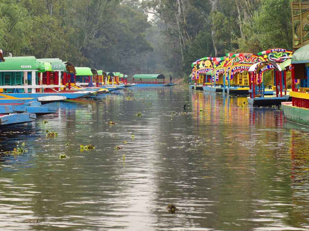 reapertura de las trajineras de Xochimilco embarcadero 1