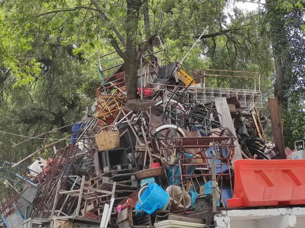 ¿Qué pasará con los triciclos en Polanco? Serán devueltos y donados