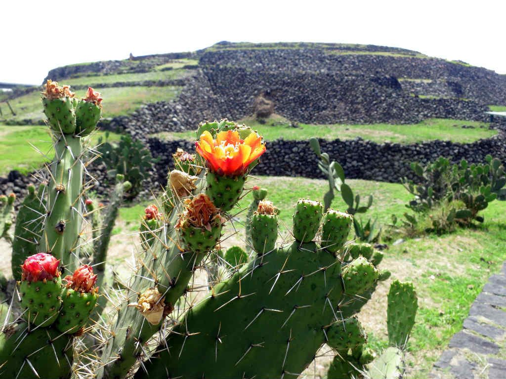 inah reapertura de zonas arqueologicas y museos