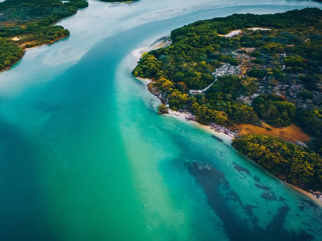 maya-proyecto-peninsula