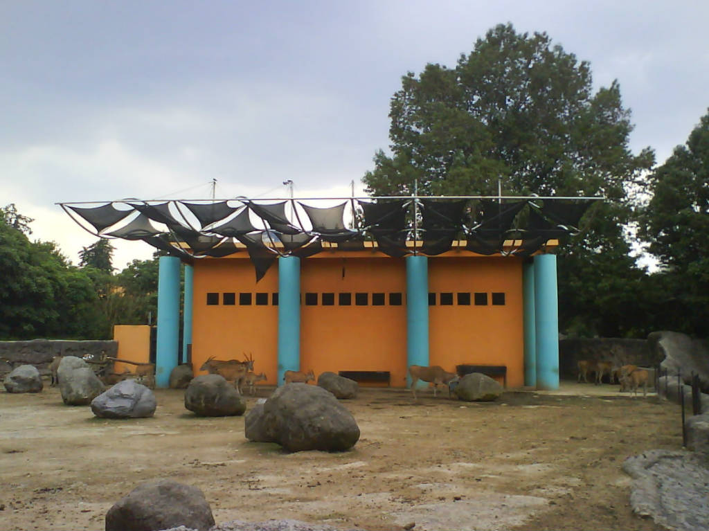 museo-chapultepec-ajolote-casa-elefante