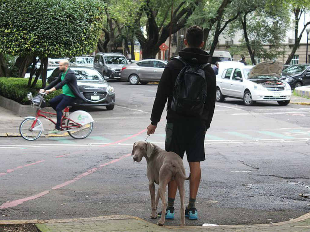 nuevas areas para perros tlatelolco y parque españa
