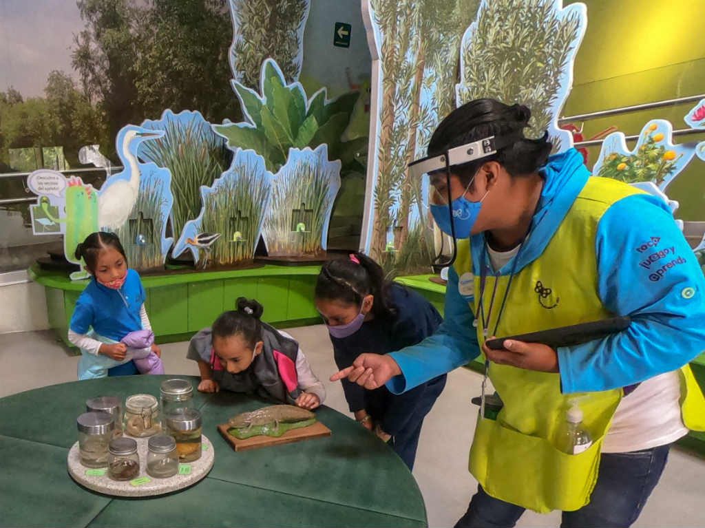 reapertura papalote museo del niño