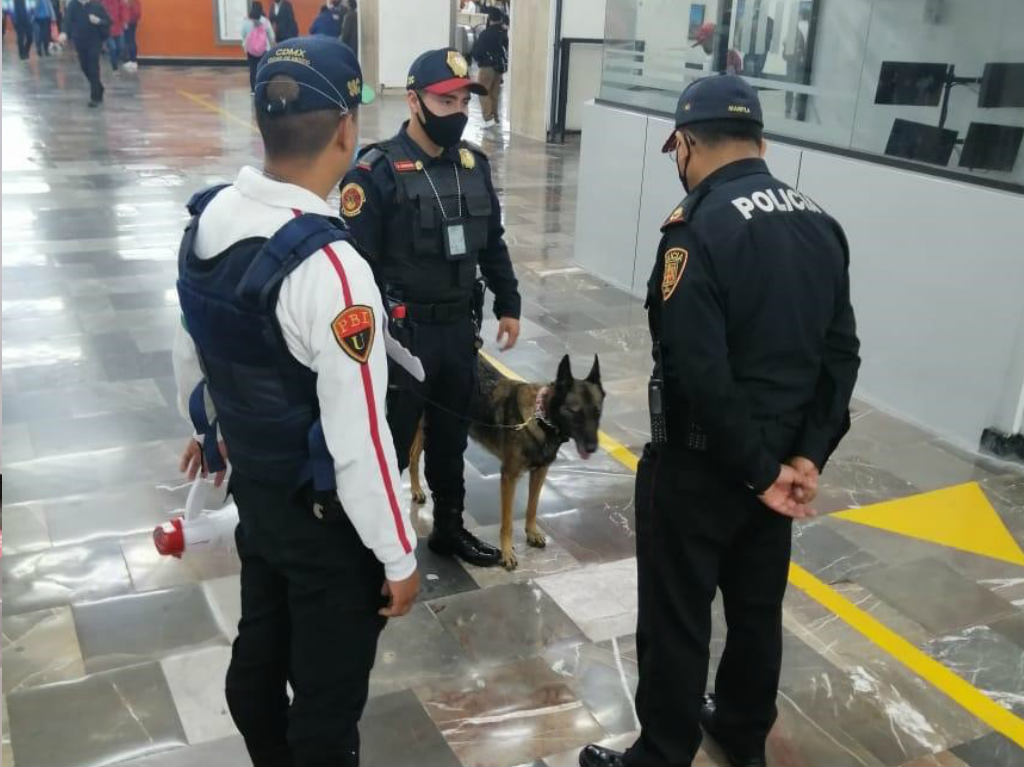 perros de seguridad en el metro 
