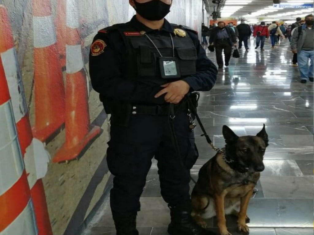 perros de seguridad del metro 