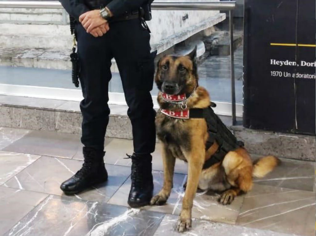 perros policia en el metro