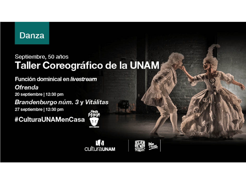 taller coreográfico de la UNAM