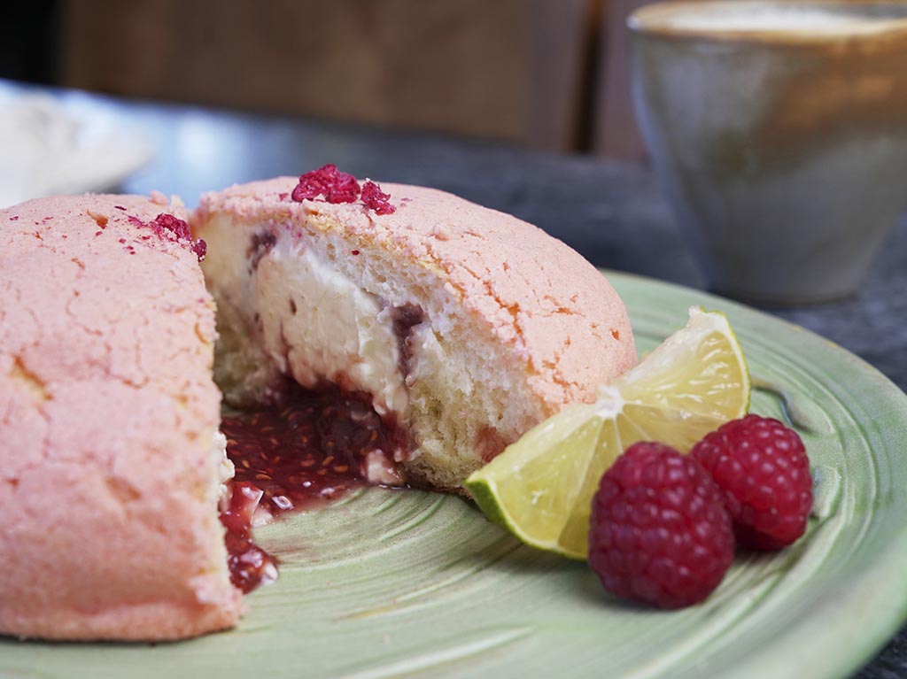 Conchas rosas contra el Cáncer de Mama en Aromas Cotidianos