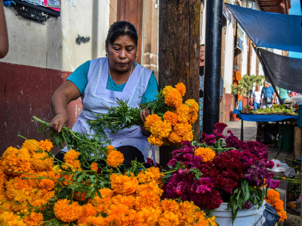 flores de dia de muertos en xochimilco