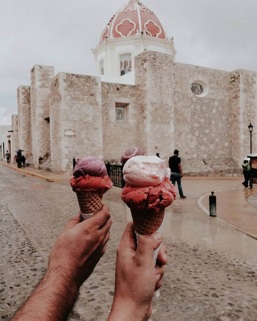 Cactunieves de Tula en Tamaulipas