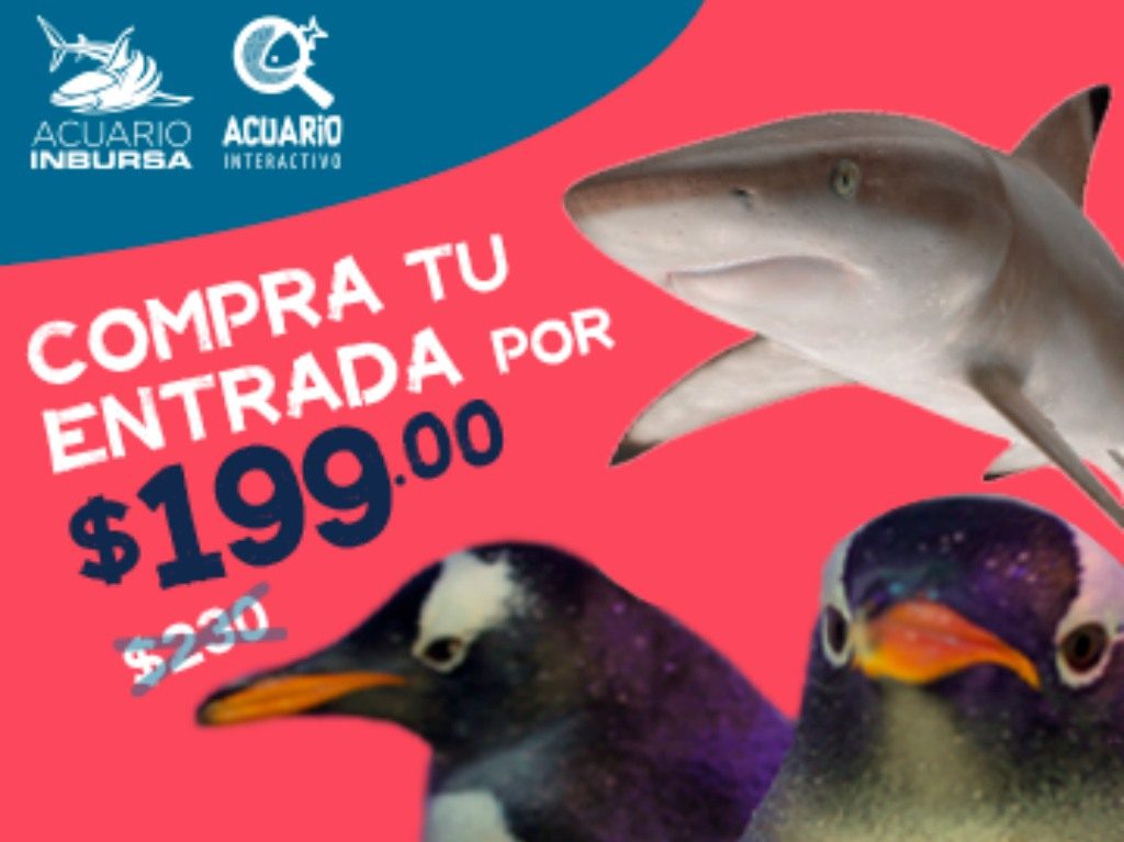 Acuario Inbursa y Acuario Interactivo Buen Fin