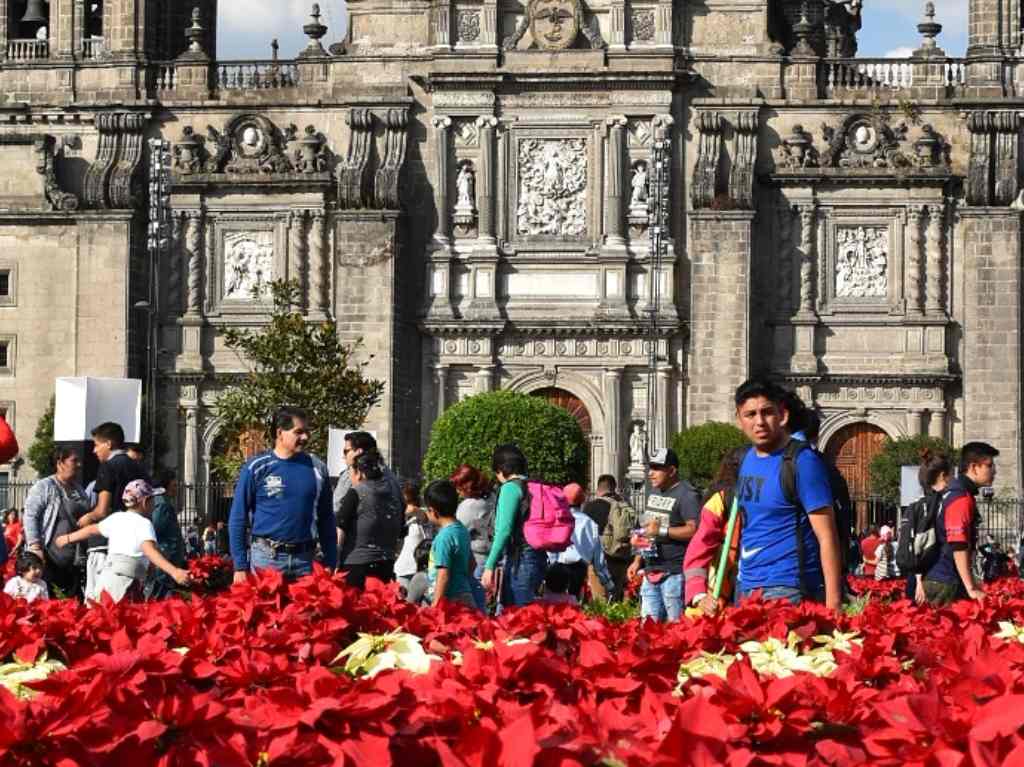 adornos navideños nochebuenas