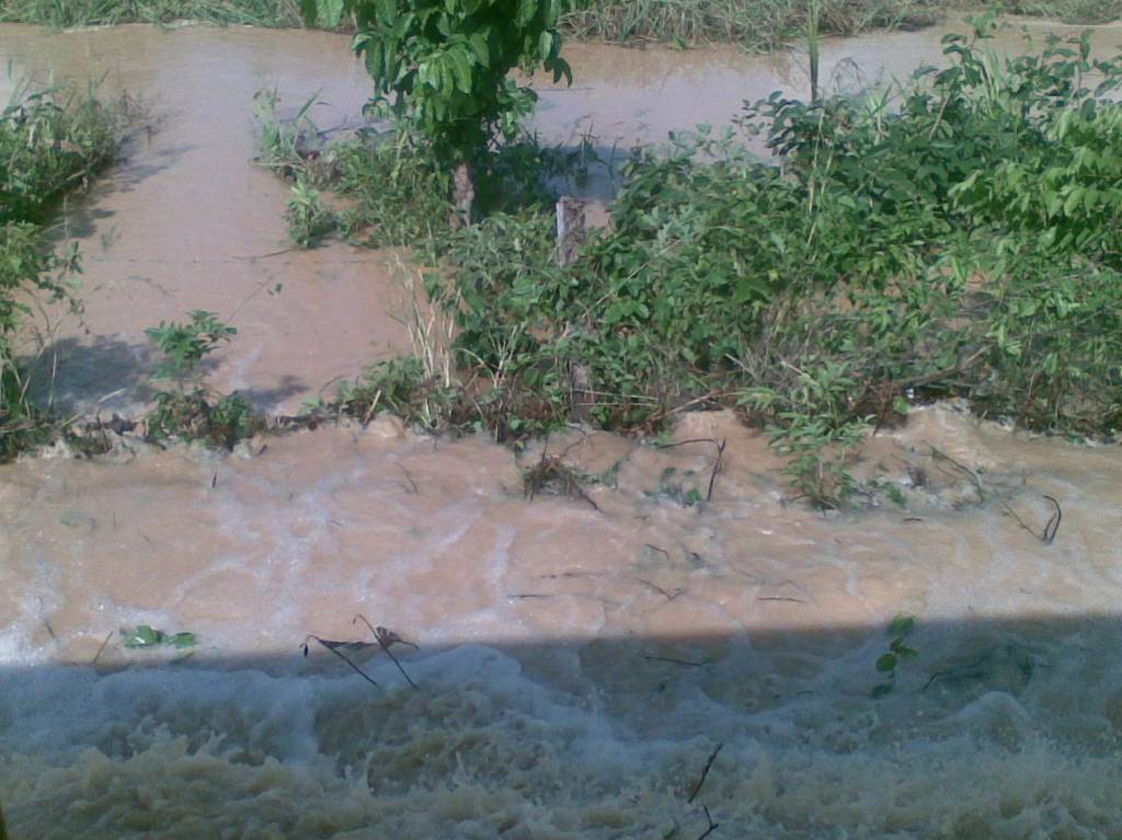 Cómo ayudar a damnificados lluvias