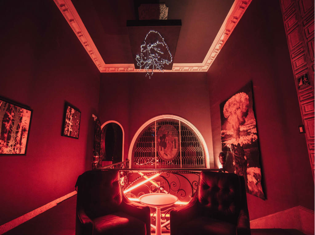 micoenormus-exposicion-inmersiva-cdmx