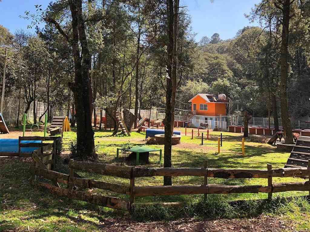 peludicos-guarderia-y-hotel-canino