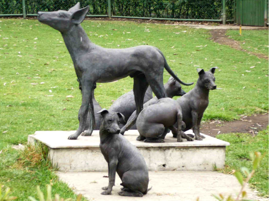 El Xoloitzcuintle es la nueva mascota oficial de CDMX