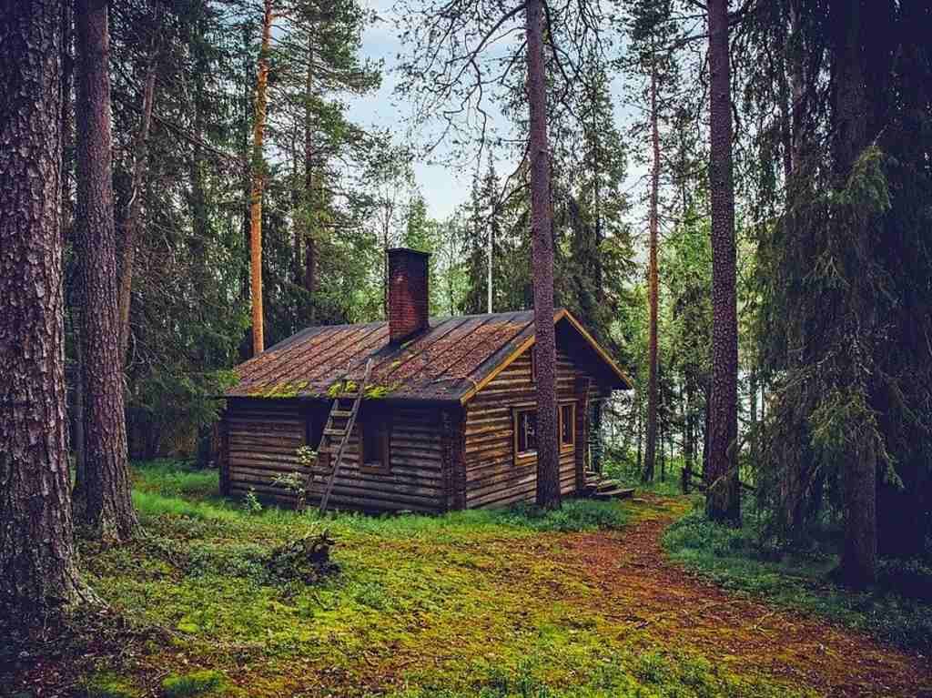 cabañas de terror bosque