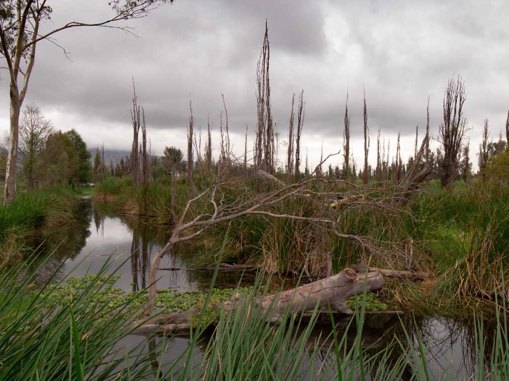 camino-seguro-para-mujeres-lago