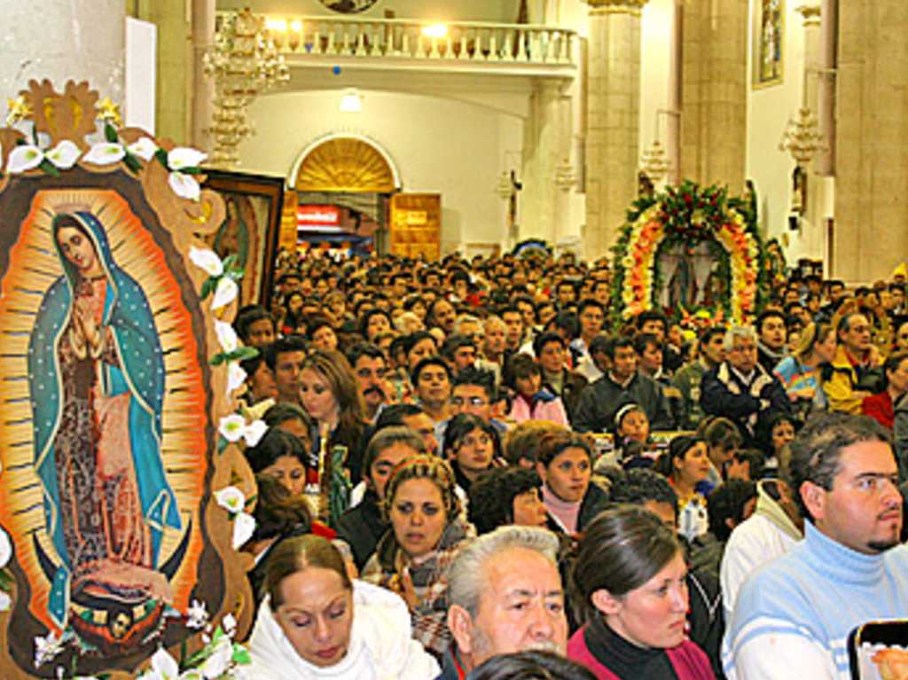 cruce de peregrinos transmisión