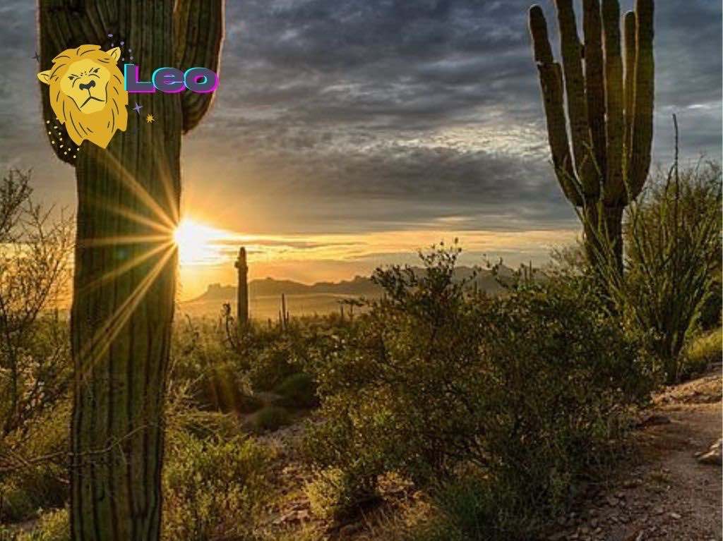 Desierto de Sonora