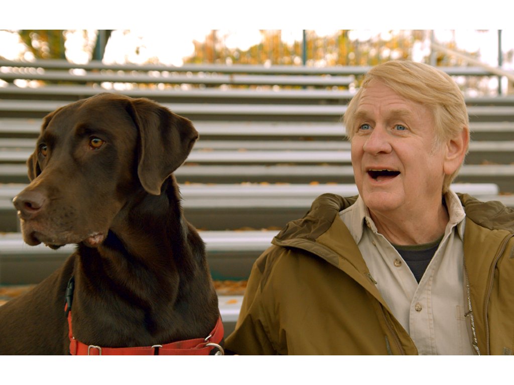 Estrenos en Disney+ enero: Una vida de perros con Bill Farmer