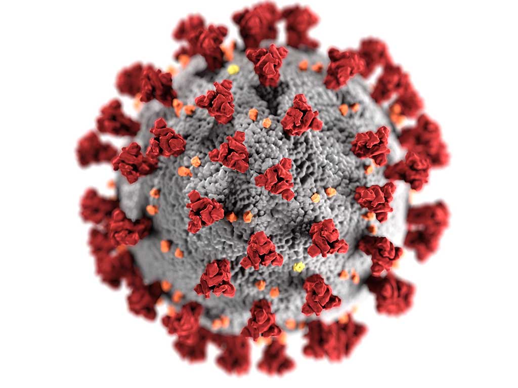 Hallan nueva cepa de coronavirus en Reino Unido
