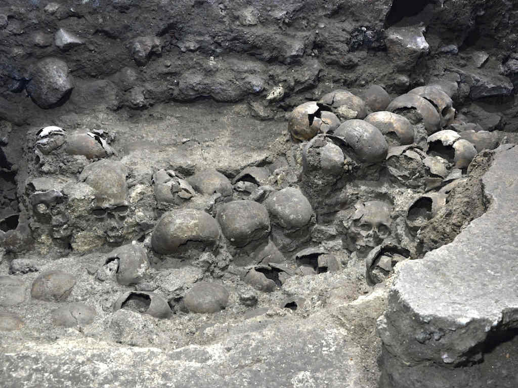 craneos hallados en el centro historico tenochtitlan