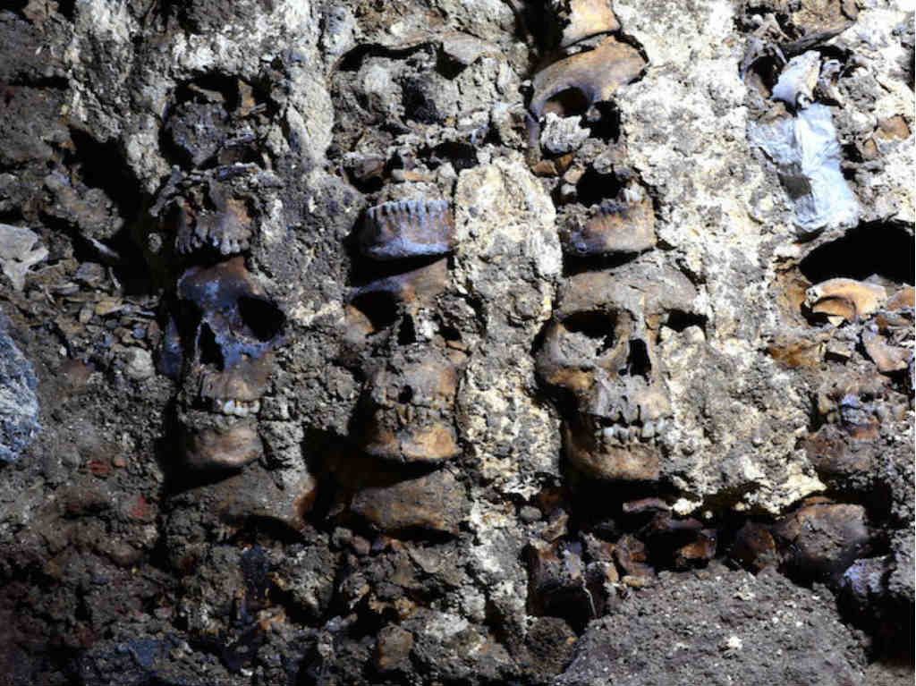 Descubren torre de cráneos del Huei Tzompantli de Tenochtitlan 
