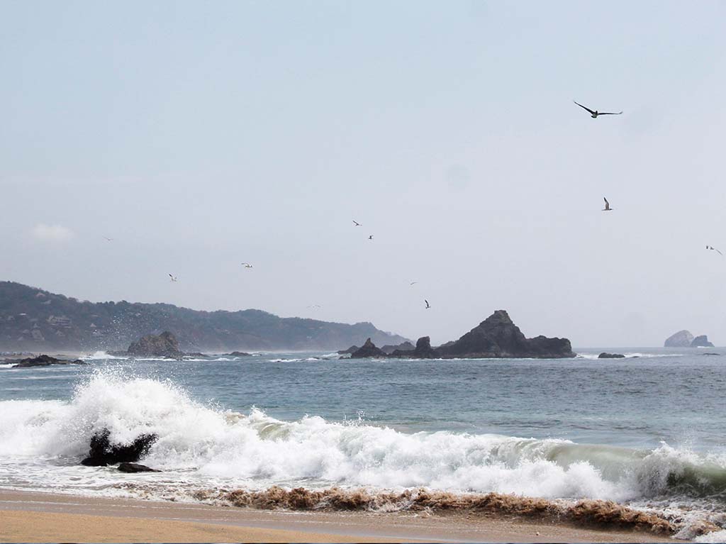 Zipolite Oaxaca