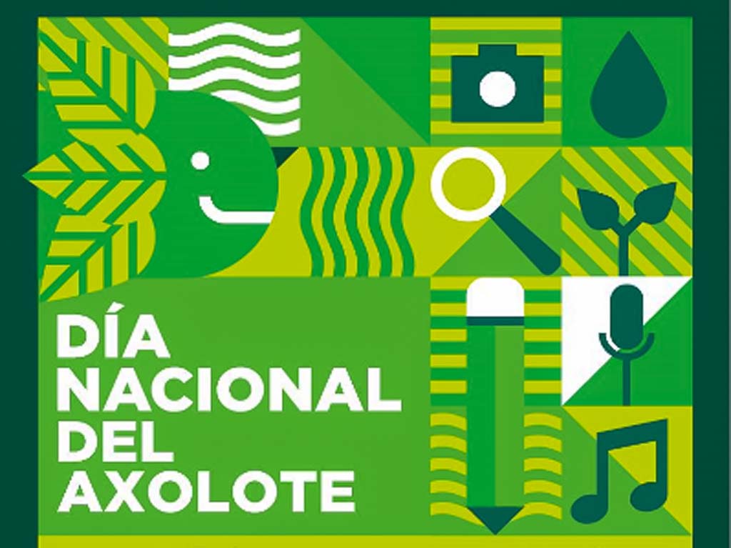 dia nacional del ajolote 1 de febrero