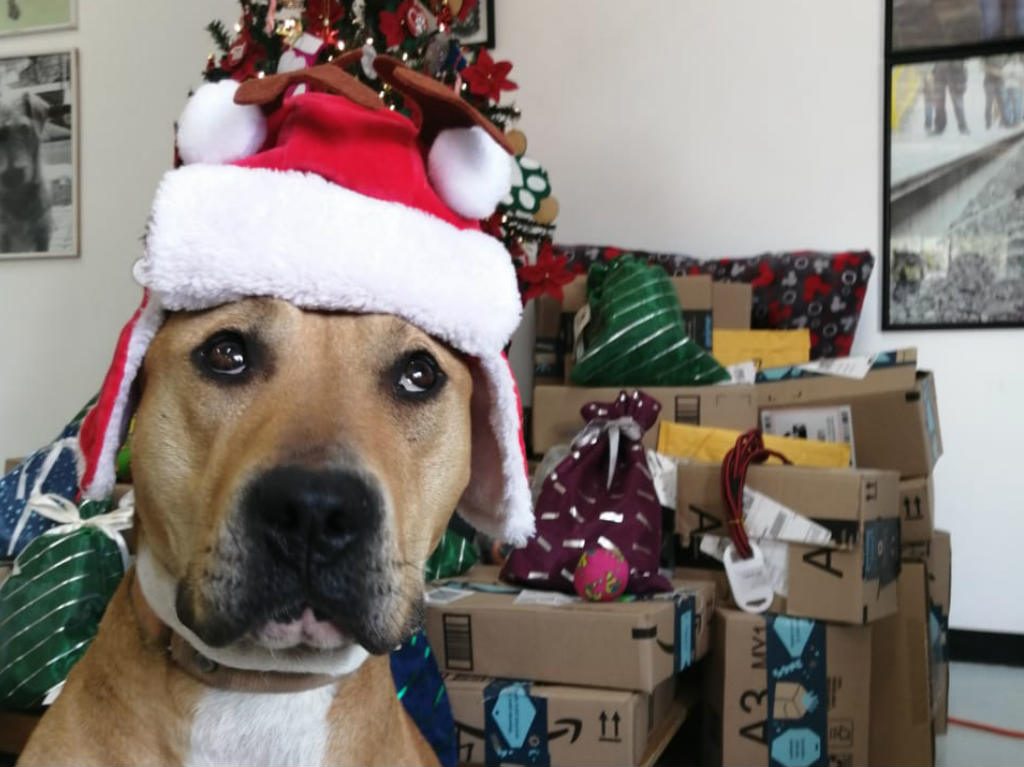 Los perritos del Metro entregarán más de mil cartas a los Reyes Magos