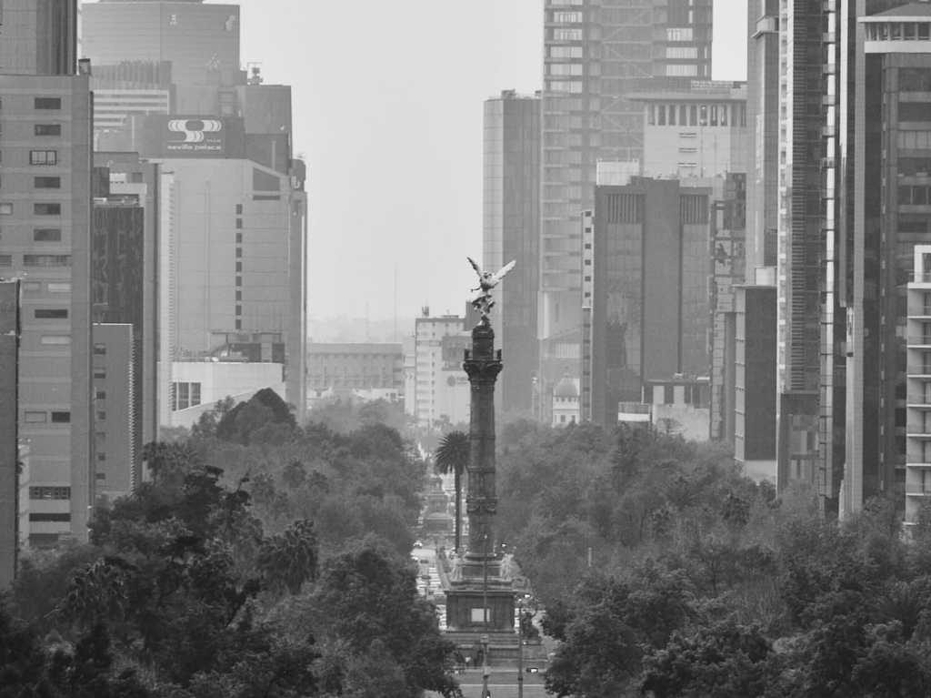 5 libros ambientados en la cdmx portada foto pablo clemente