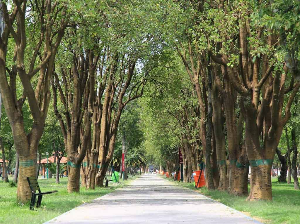 Bosque de Aragón - Área verded