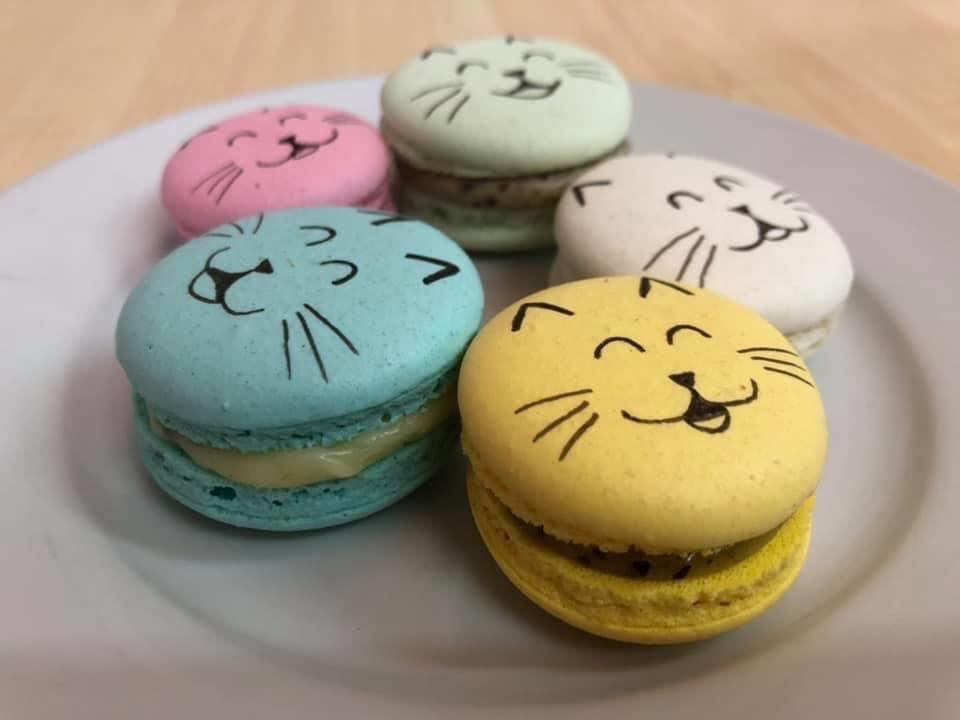 catfecito-cafeteria-de-gatos-cdmx