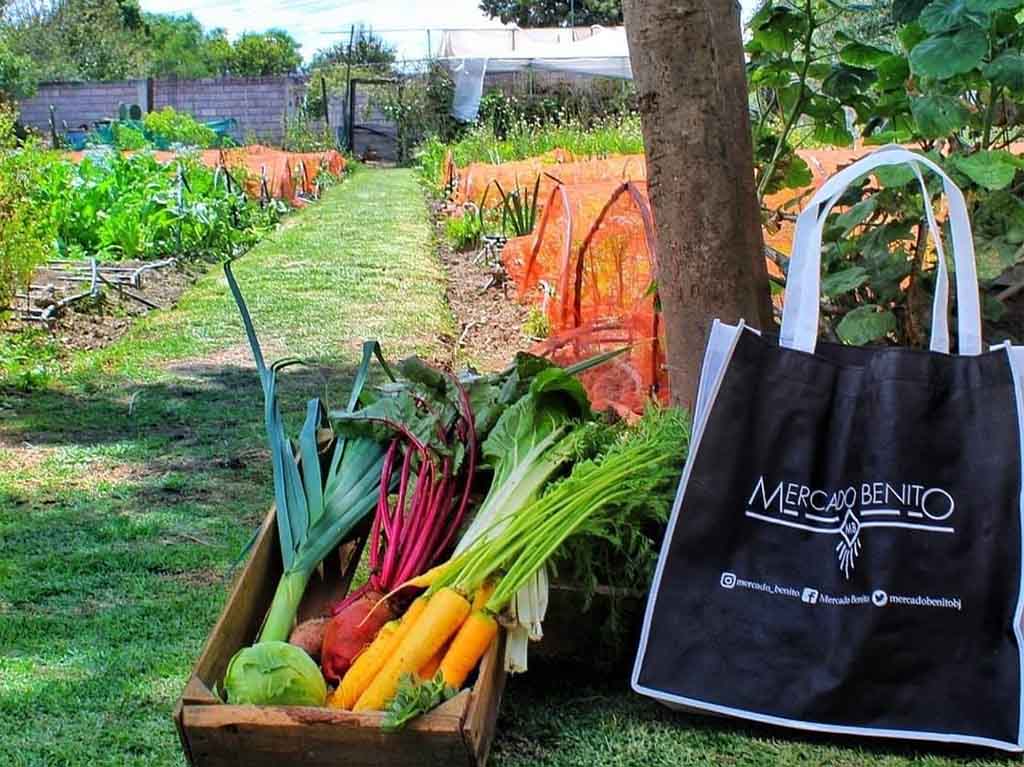 Frutas y verduras de Mercado Benito , mercado orgánico y vegano