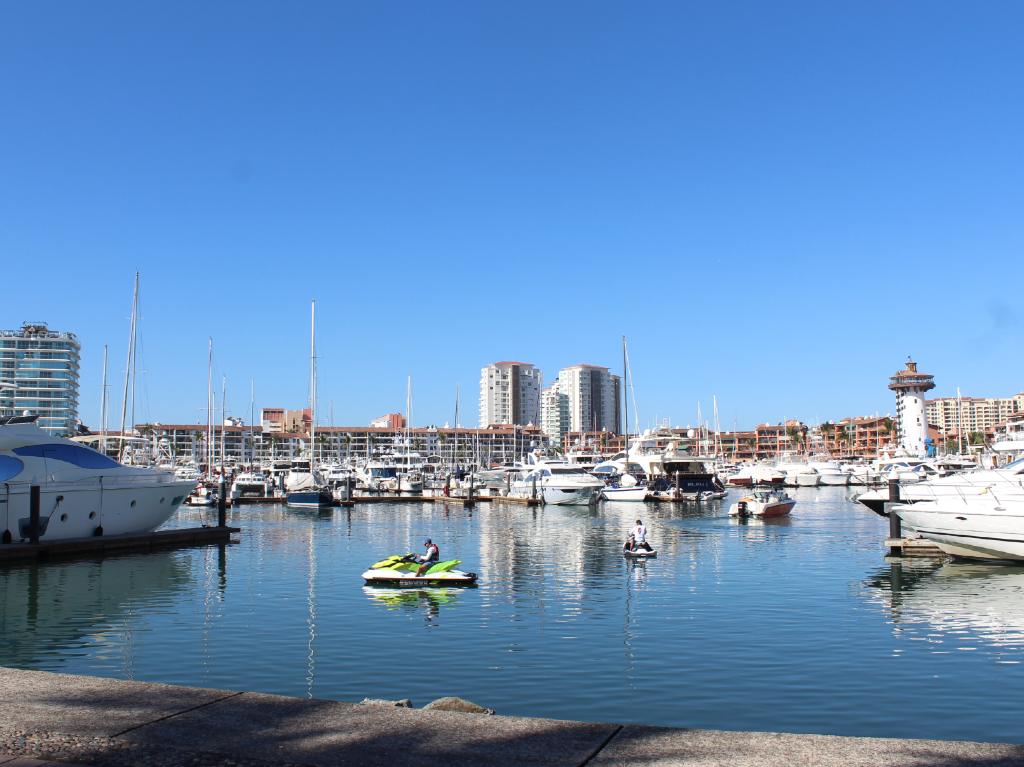 ballenas-jorobadas-puerto
