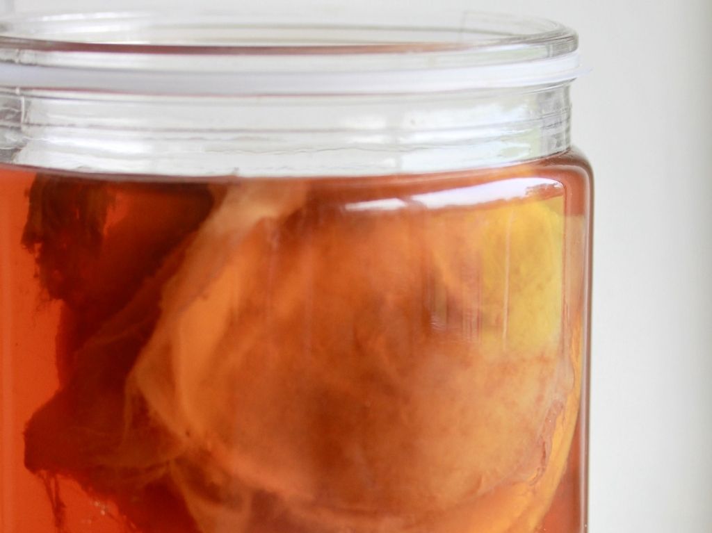 beneficios-kombucha-preparar-kombucha-en-casa