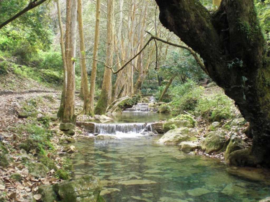 Cascadas más espectaculares Qro.