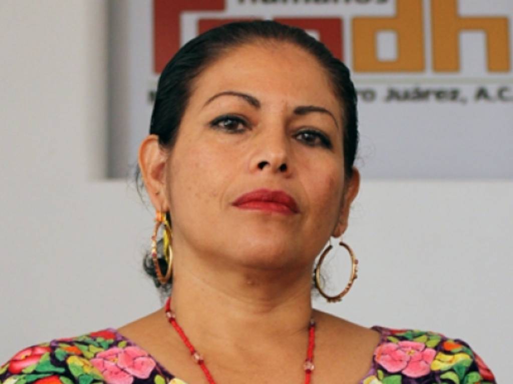 cinco activstas mexicanas que debemos reconocer y aplaudir bettina cruz