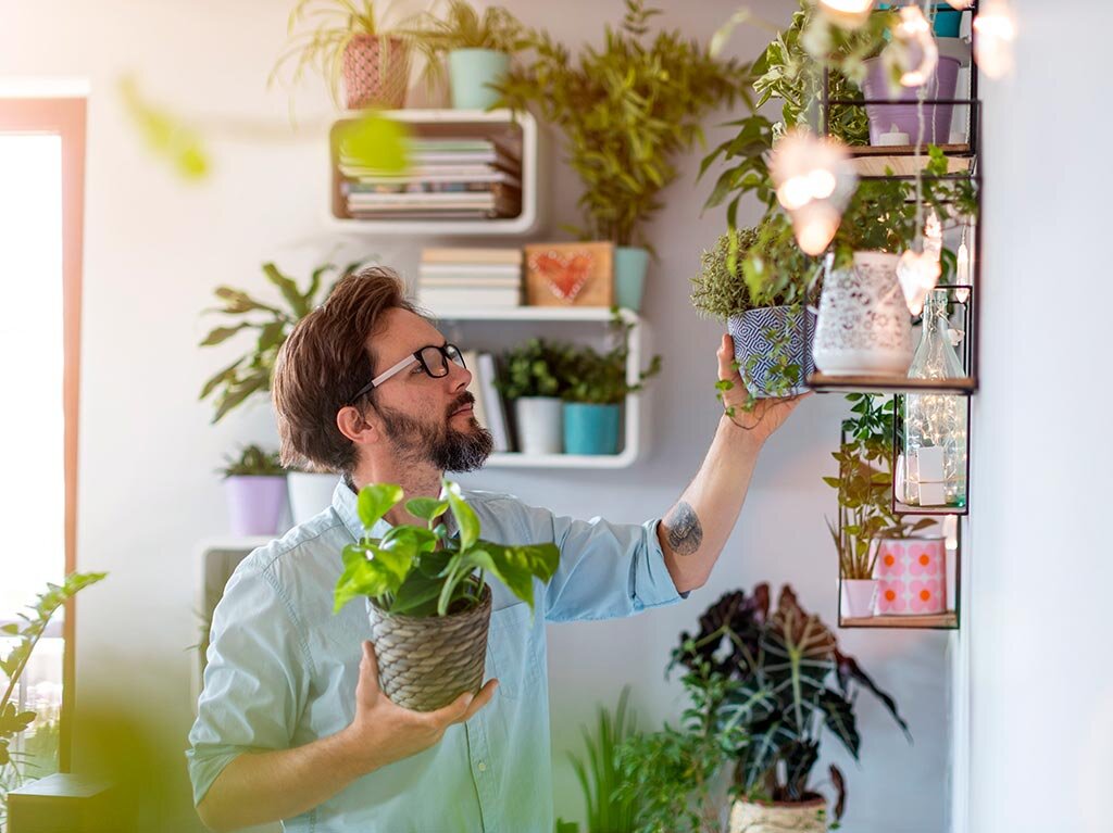 opciones-para-disfrutar-tus-vacaciones-sin-salir-de-casa-cuida-tu-patio-o-jardin